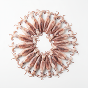 30 Frozen Whole small Squid