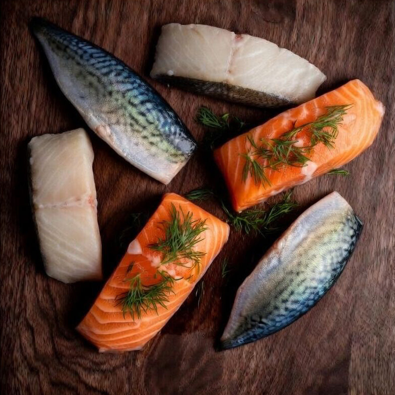 魚